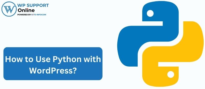 How to Use Python with WordPress?